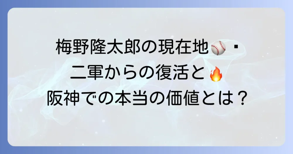 阪神タイガース梅野隆太郎の現在地！成績、守備、そしてチームを支える存在感