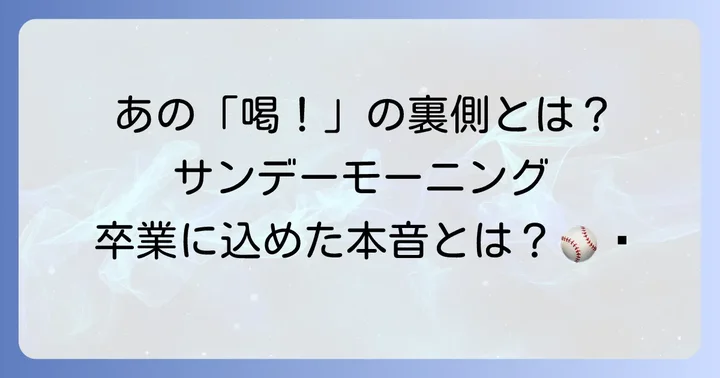 「サンデーモーニング」でのご意見番としての影響と卒業