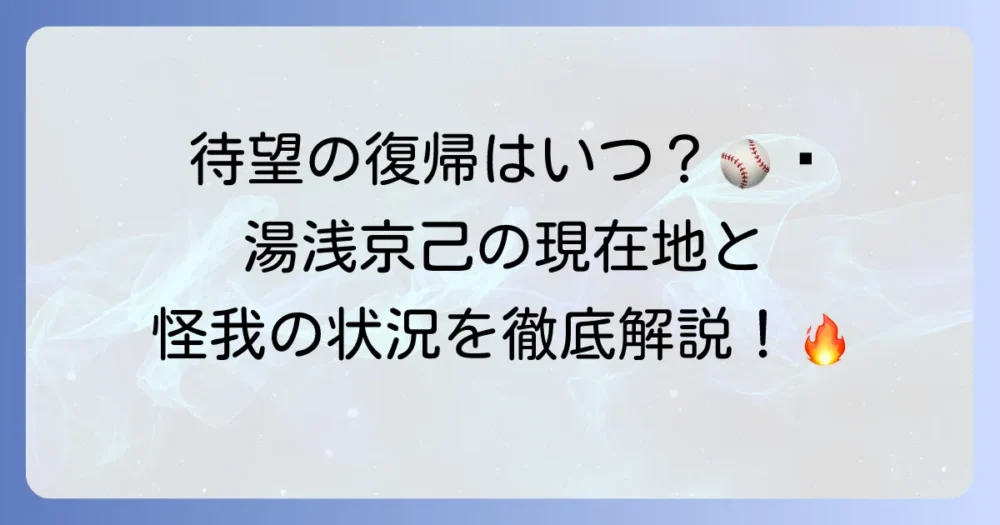 阪神タイガース湯浅京己選手の現在地と復帰への期待！成績や怪我の状況を徹底解説