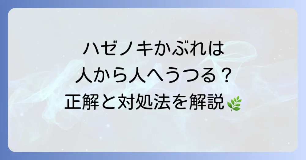 ハゼノキによるかぶれはうつるのか？症状から予防・治療法までを徹底解説！