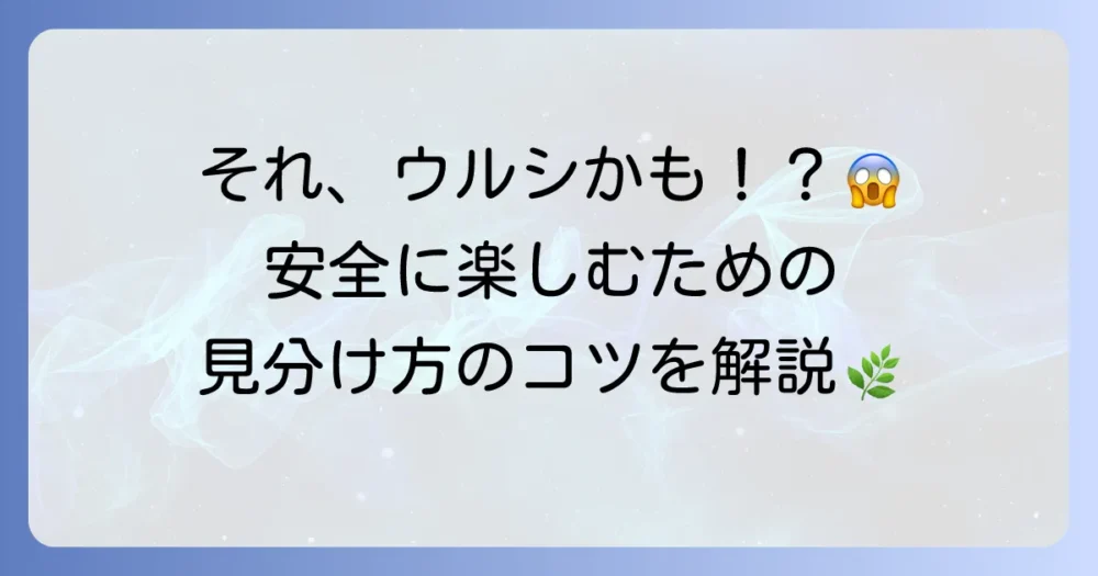 ハゼの木の見分け方を徹底解説！ウルシとの違いと安全に楽しむ方法