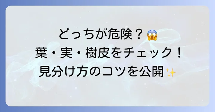 【葉・実・樹皮】ハゼの木とウルシを見分ける具体的なコツ