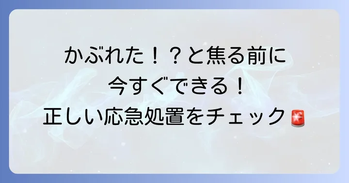もし触ってしまったら？かぶれ対策と応急処置