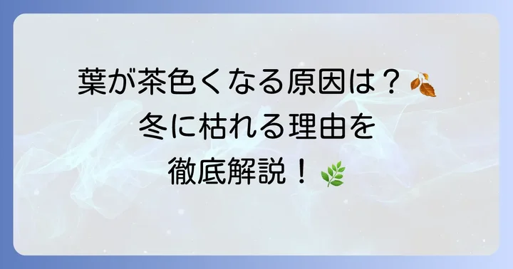 羽衣ジャスミンが冬に枯れる主な原因を知る