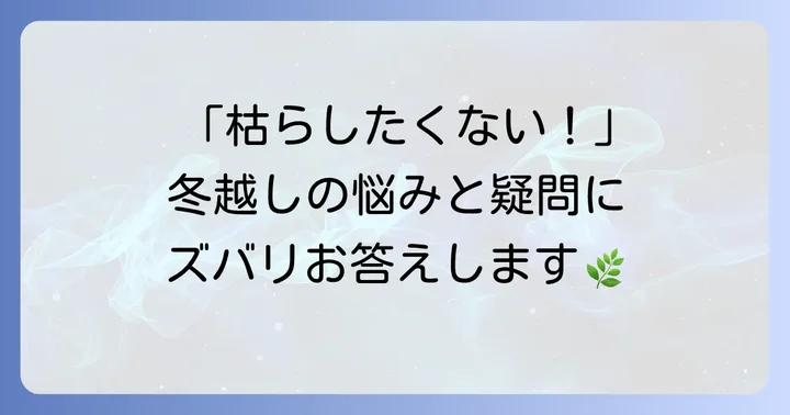 羽衣ジャスミンの冬越しに関するよくある質問