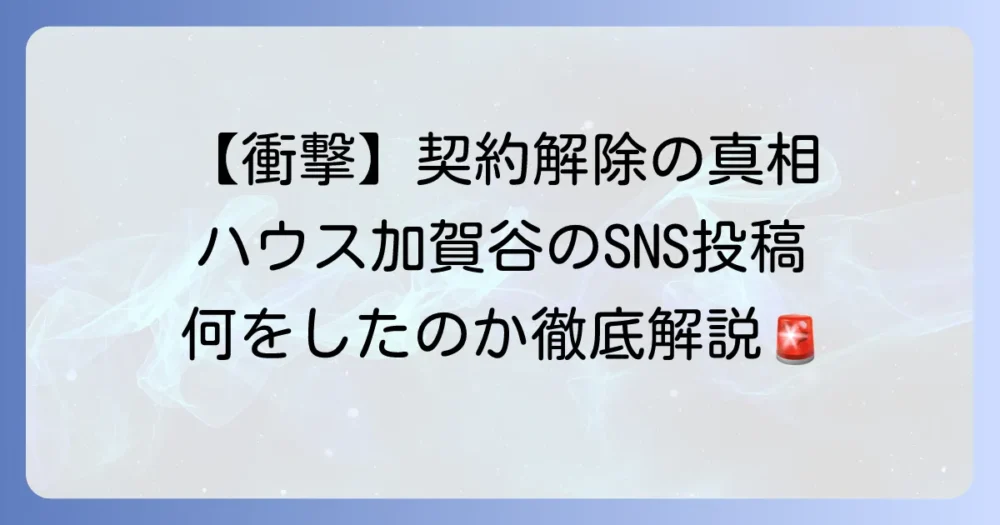 ハウス加賀谷はSNSで何をしたのか？契約解除に至った不適切投稿の真相を徹底解説
