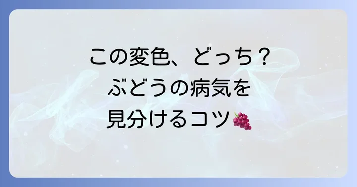ぶどうの葉っぱによく見られる病気の種類と見分け方