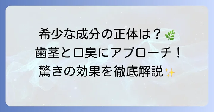 コウヤマキ歯磨き粉の主要成分と期待できる効果