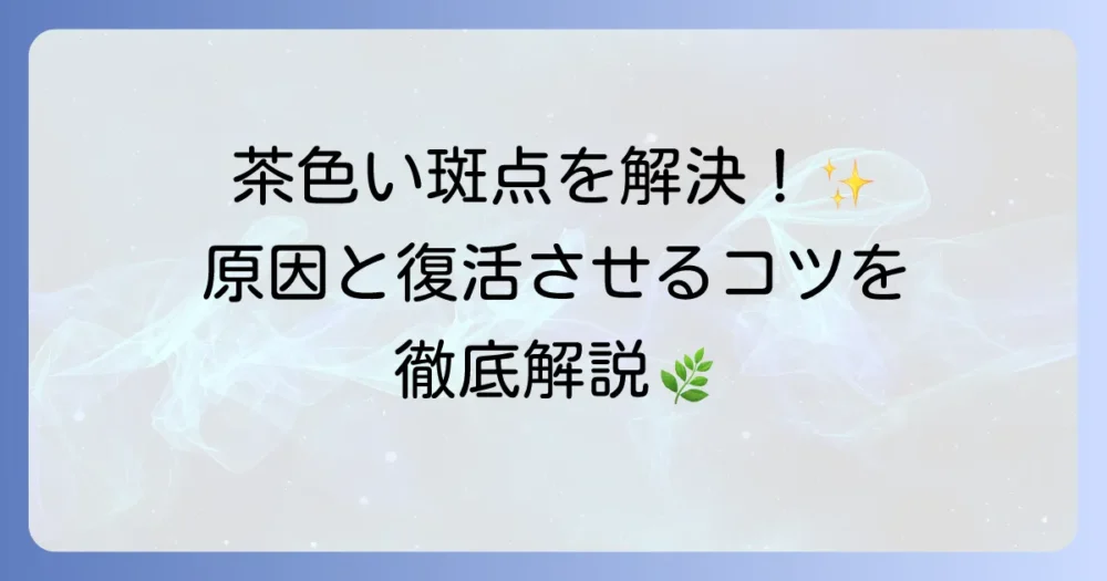 ウンベラータの葉に茶色い斑点ができる原因と解決方法を徹底解説