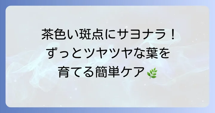 ウンベラータの健康な葉を育てるための日頃のコツ