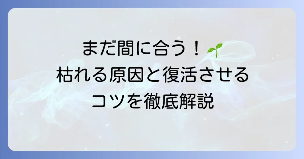 ハエトリグサが枯れる原因と復活させるための育て方を徹底解説