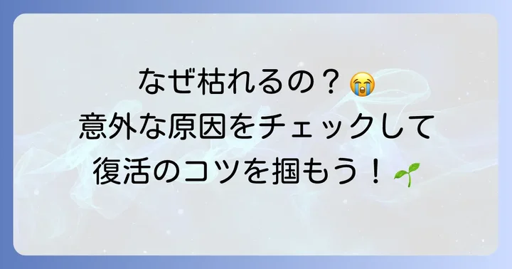 ハエトリグサが枯れる主な原因とは？