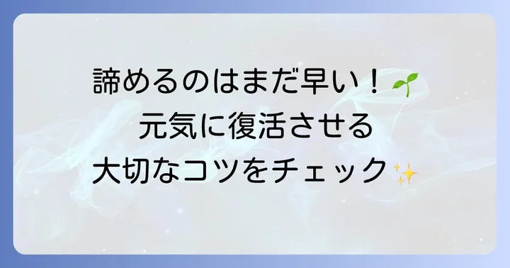 枯れかけたハエトリグサを復活させる方法