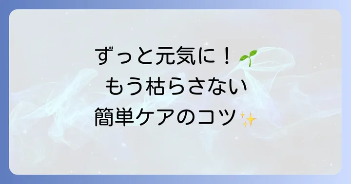 ハエトリグサを枯らさないための日頃の管理のコツ