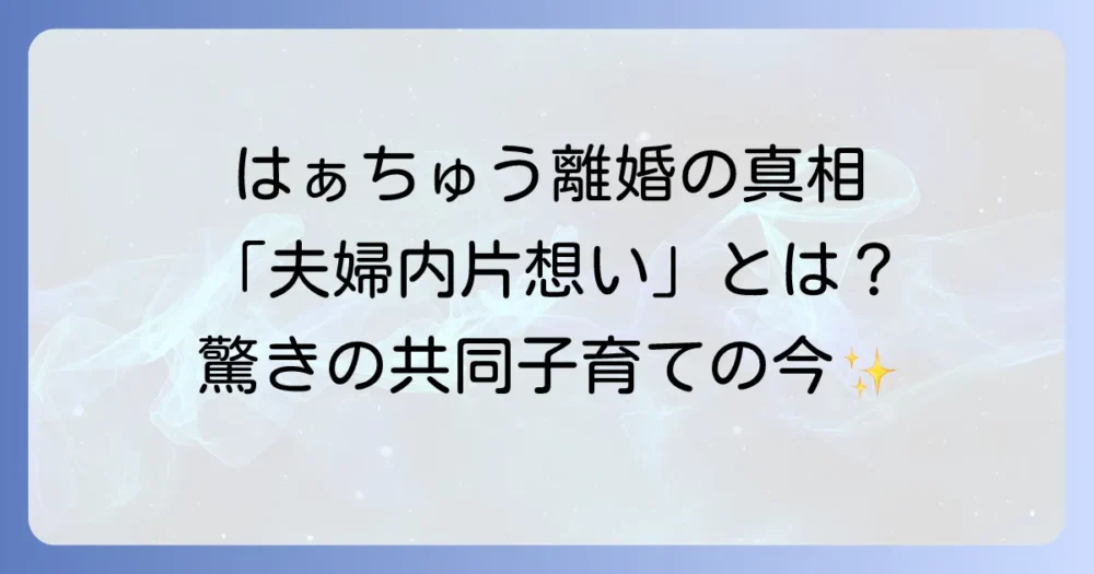 はぁちゅうの離婚の真相と現在の関係性：事実婚解消から共同子育ての今