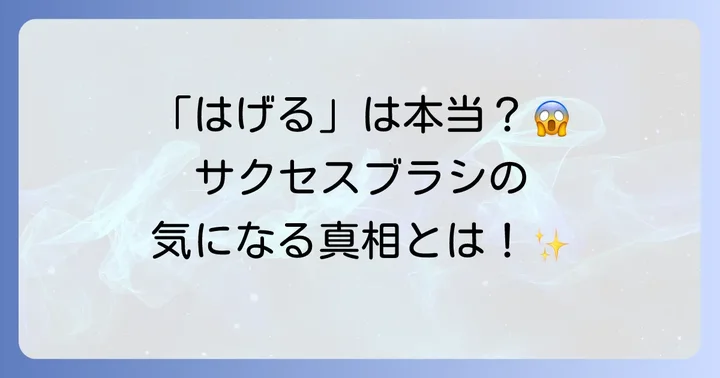 サクセスブラシで髪がはげるは誤解？抜け毛の原因と正しい理解