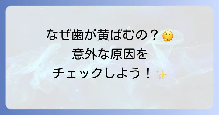 なぜ歯にヤニや黄ばみがつくのか？主な原因を理解しよう