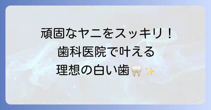 歯科医院でプロに任せる確実なヤニ取り・ホワイトニング