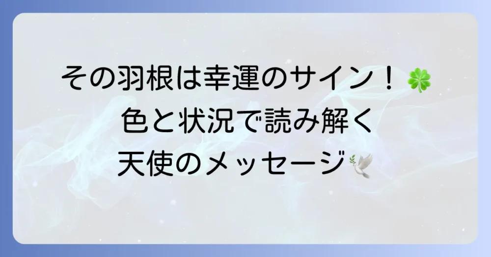 鳥の羽根を拾うことのスピリチュアルな意味とは？色や状況別のメッセージを徹底解説