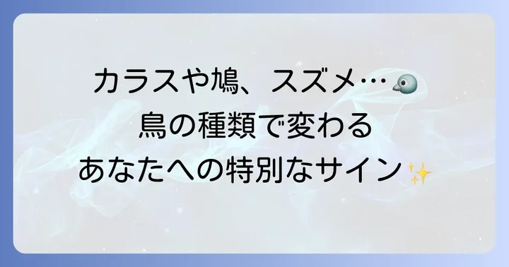 【鳥の種類別】羽根が伝えるスピリチュアルなメッセージ