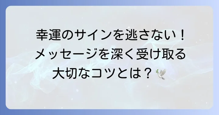 鳥の羽根を見つけた時に意識したいこと