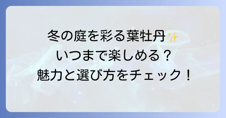 葉牡丹が楽しめる期間はいつまで？その魅力と特徴