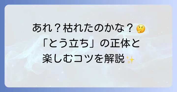 春になると葉牡丹はどうなる？「とう立ち」の進め方