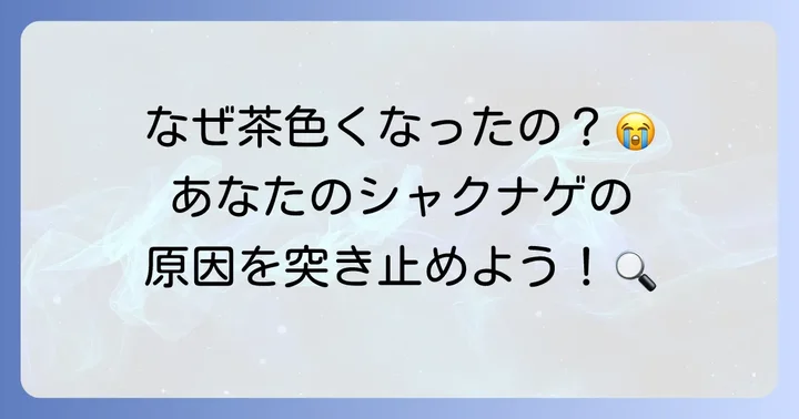 シャクナゲの葉が茶色くなる主な原因を特定する