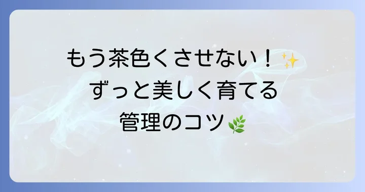 シャクナゲの葉を茶色くさせないための予防策