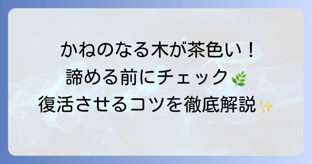 かねのなる木の葉が茶色い！枯れるサインと元気にする対策を徹底解説