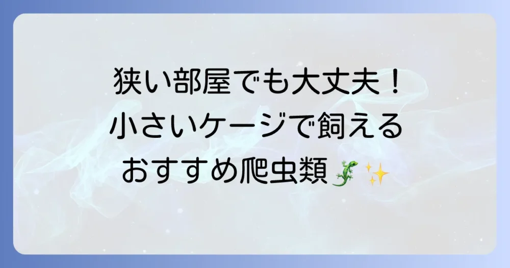 小さいケージで飼える爬虫類を徹底解説！初心者も安心の飼育方法とおすすめの種類