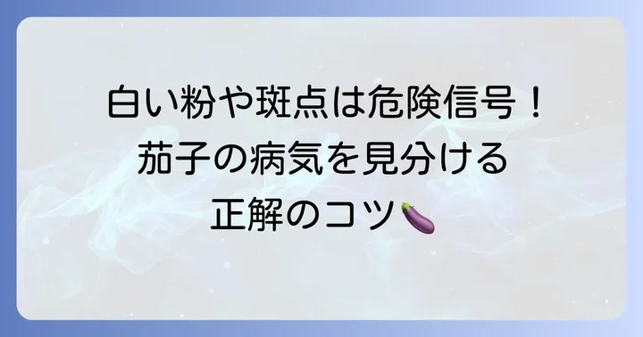 茄子の葉っぱに現れる主な病気の種類