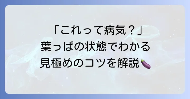 茄子の葉っぱの異変から病気を特定するコツ