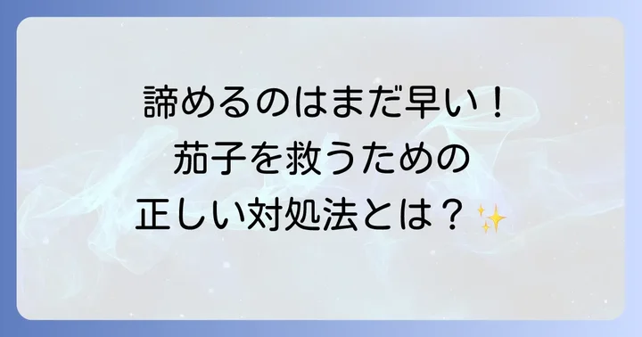 病気が発生してしまった場合の対処法