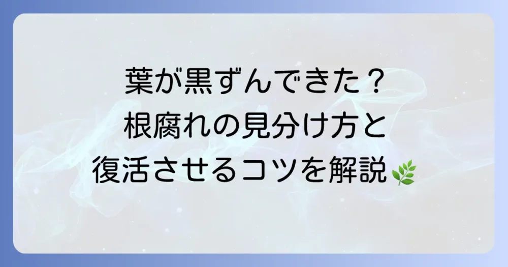 ハエトリソウの根腐れの原因と対策を徹底解説！見分け方から復活方法まで