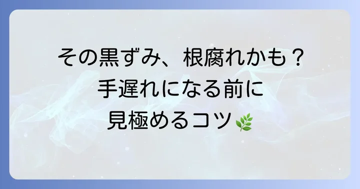 ハエトリソウ根腐れのサインを見逃さない！症状と見分け方