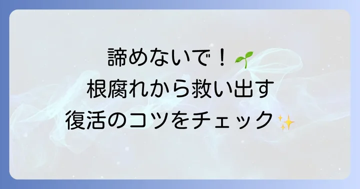根腐れしてしまったハエトリソウの対処法と復活への道