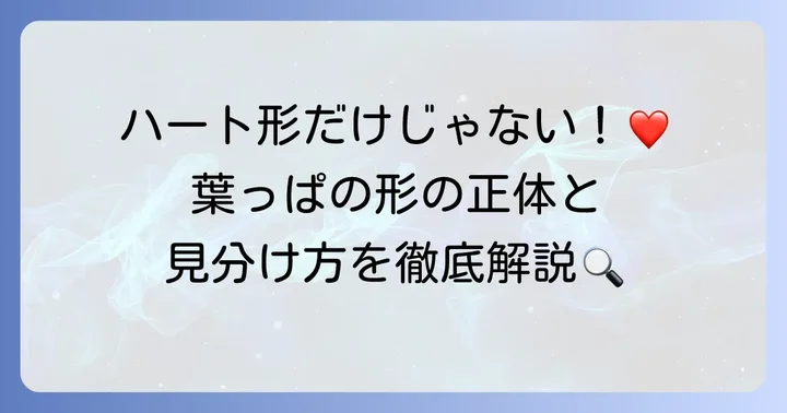 朝顔の葉っぱの形が違うのは自然なこと？多様な葉の形を知ろう