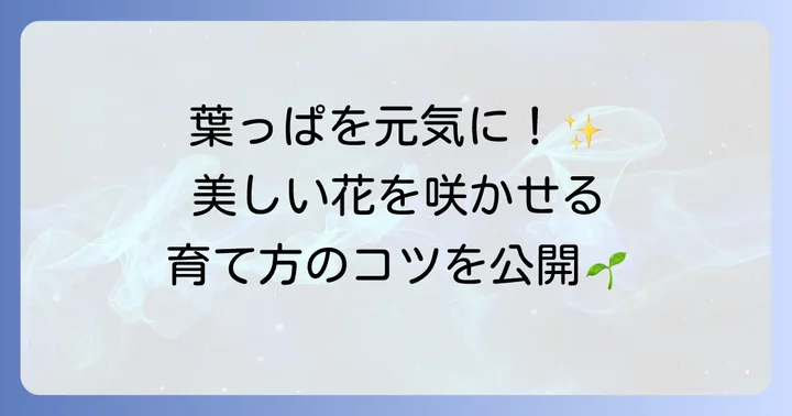 葉の形を健康に保つための育て方のコツ