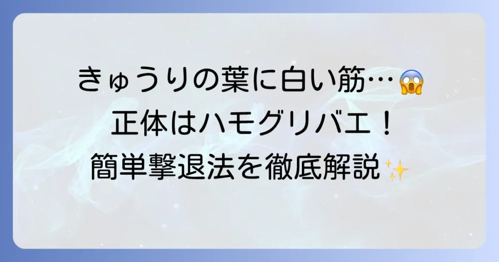 きゅうりのハモグリバエの徹底対策！白い筋の正体から予防・駆除方法まで