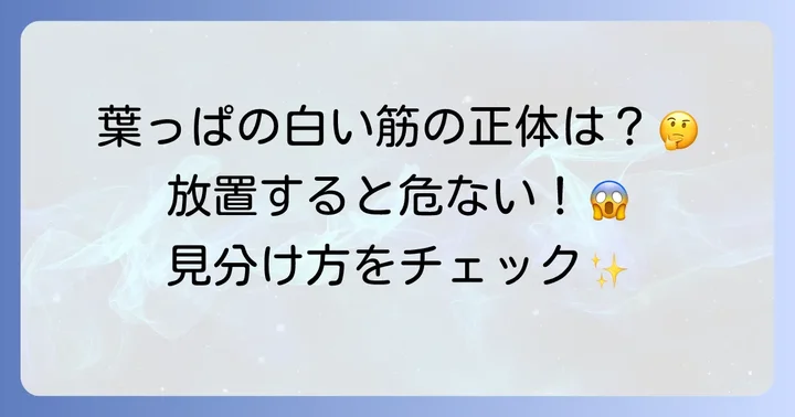 きゅうりの葉の白い筋はハモグリバエの仕業？正体と見分け方