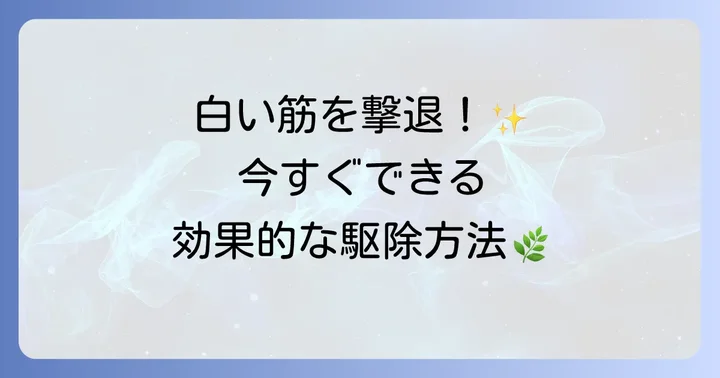 きゅうりハモグリバエを効果的に駆除する方法