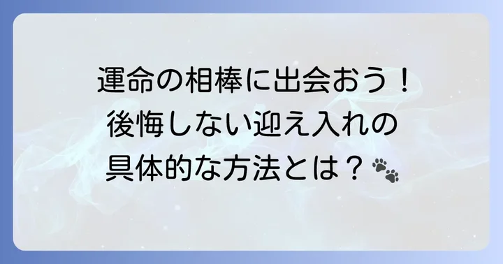 「売れ残り」のシベリアンハスキーを迎え入れる方法