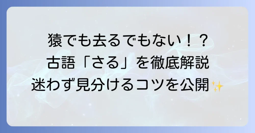 古語「さる」の意味と活用を徹底解説！現代語との違いや識別方法