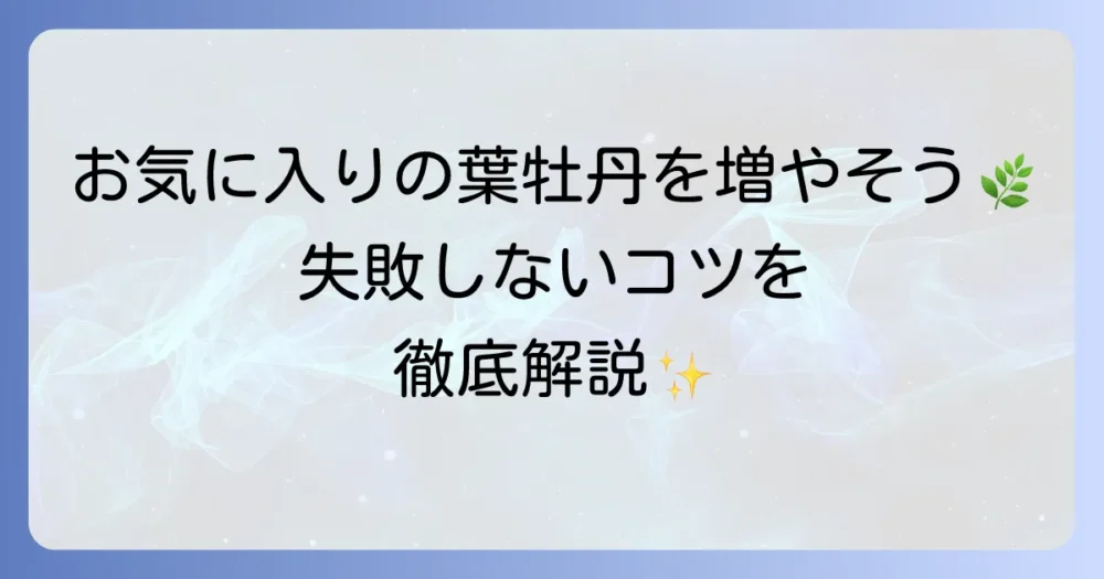 葉牡丹の挿し木の育て方を徹底解説！失敗しないためのコツと長く楽しむ管理術