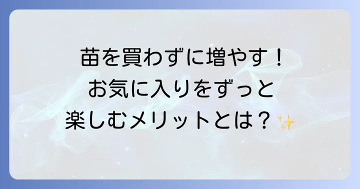 葉牡丹の挿し木とは？魅力と増やすメリット