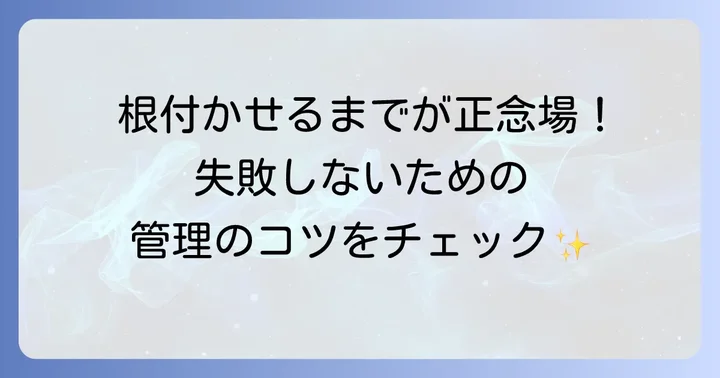 挿し木後の管理と成功させるコツ