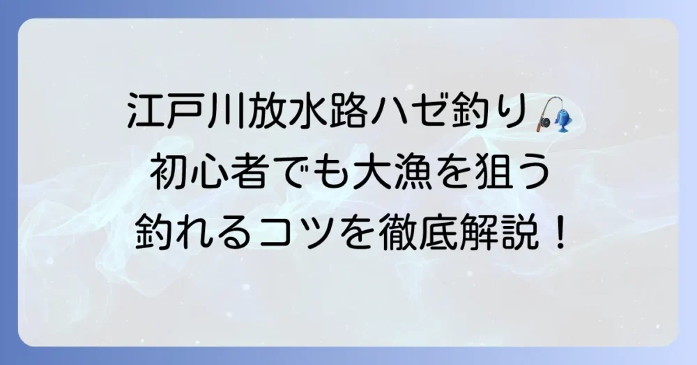 江戸川放水路でのハゼ陸っぱり徹底攻略！釣れる時期と仕掛け、釣り方
