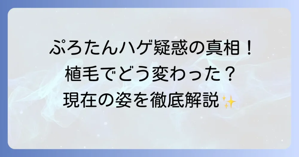 ぷろたんのハゲ疑惑を徹底解説！薄毛の原因と対策、現在の状況まで