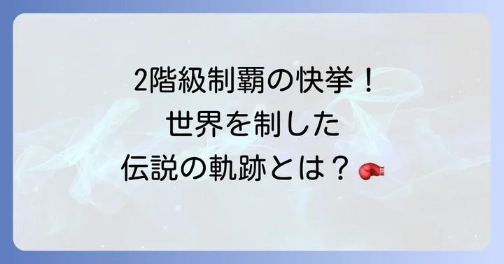 畑山隆則さんの輝かしいボクシングキャリア